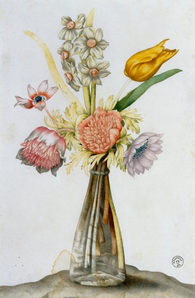 Glasvase mit Anemonen, einer Narzisse und einer Tulpe von Giovanna Garzoni